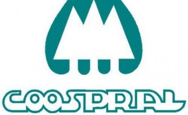 Problemas con la electricidad en Ramallo y Villa Ramallo