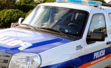 Roban un establecimiento de cría de conejos en el kilómetro 212 de la ruta 9 