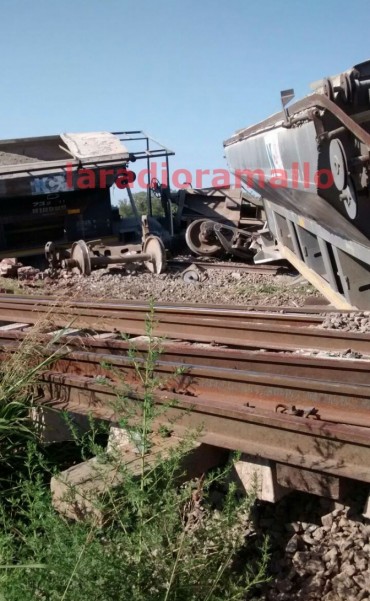 Descarril&oacute; una formaci&oacute;n de carga