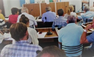 Llamado a audiencia pública