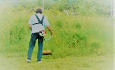 ¿Mordido por un ofidio?