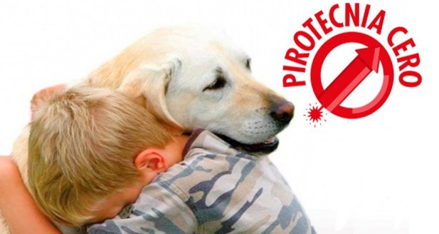 En año nuevo no se respetó la Ordenanza de pirotecnia cero