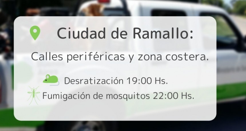 Fumigación y desratización