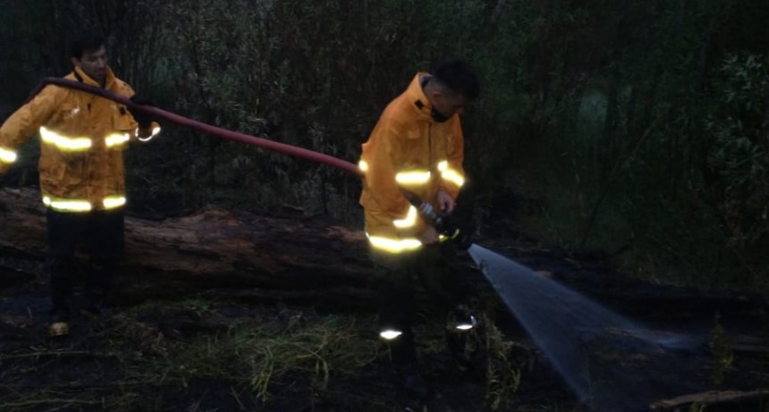 Intensa actividad de bomberos voluntarios