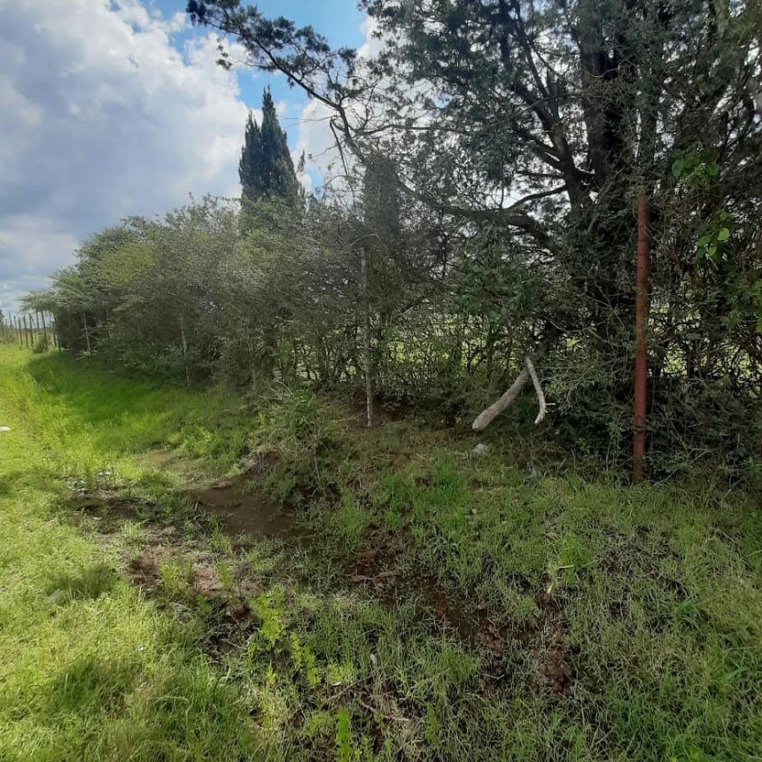 Vuelven a robar en el camping del Club Los Andes