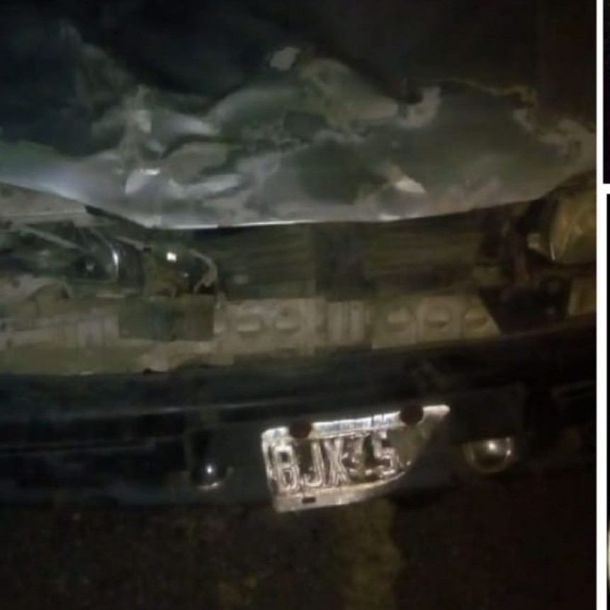 Chocaron a un caballo en la ruta y después lo embistieron dos vehículos más 