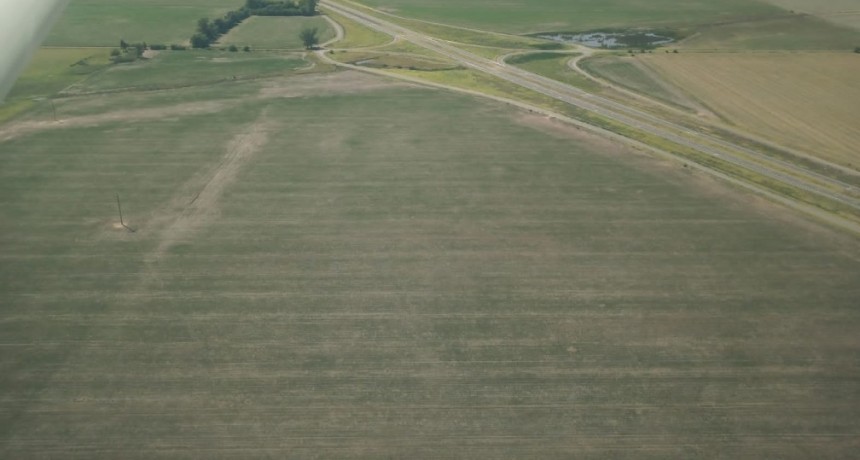 Sequía severa: Los productores agropecuarios, enfrentan el peor escenario en décadas en el norte de la provincia de Buenos Aires