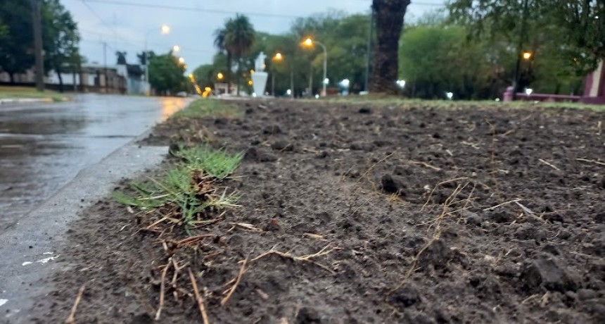 La Estación Meteorológica Automática de INTA Ramallo registró 45 milímetros