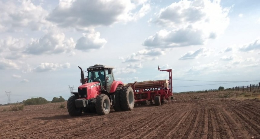 Sesenta días después de la fecha de siembra, los productores ramallense pudieron implantar soja y maíz