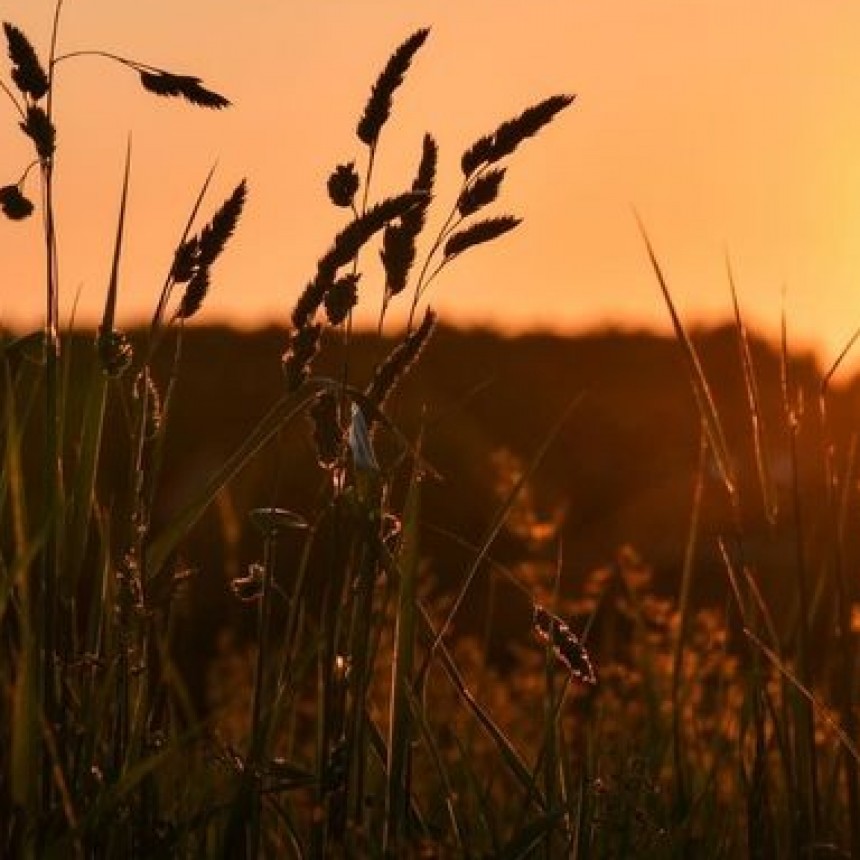 Milicota nunca vivió en El Solar Club de Campo