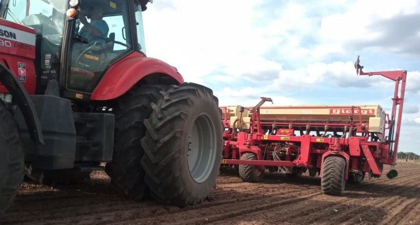 El campo ramallense recibirá la ayuda del Gobierno nacional informaron desde el Ministerio de Desarrollo Agrario de la provincia de Buenos Aires