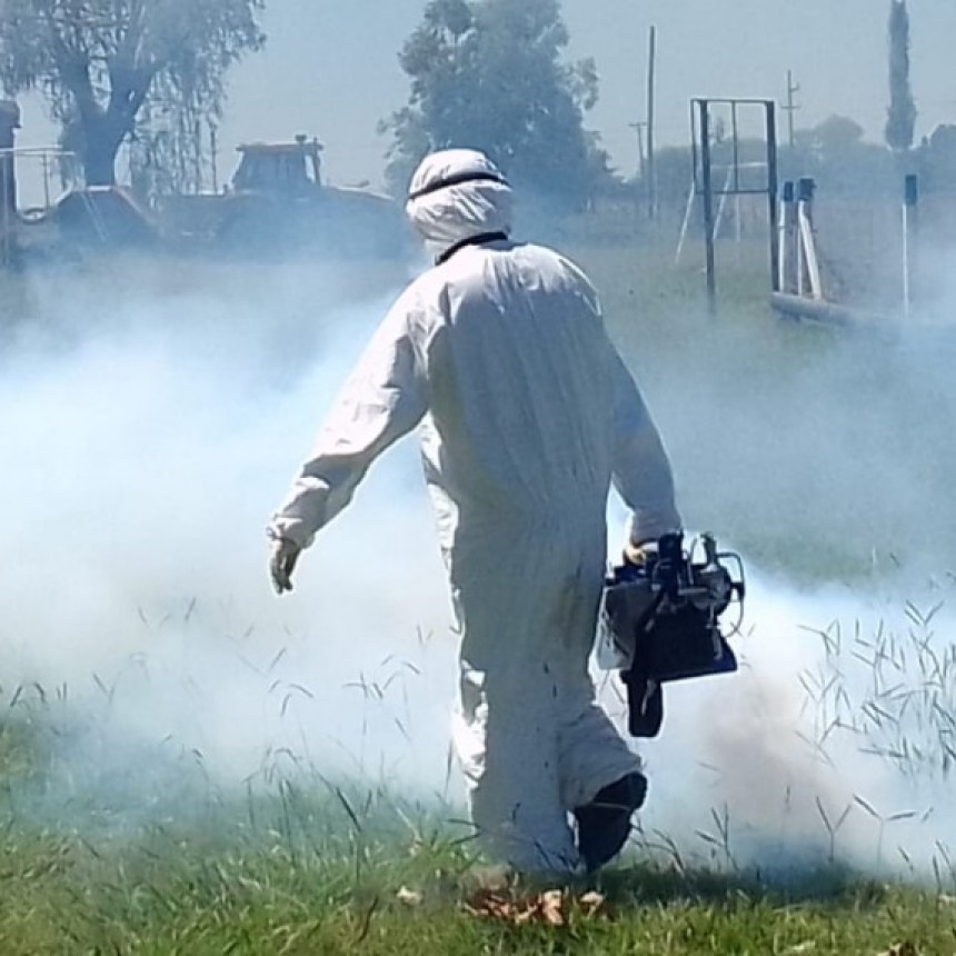 Piden extremar las medidas de prevención frente al dengue: se confirmó un tercer caso