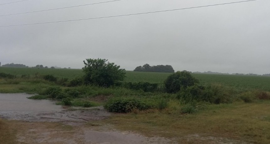 Las lluvias trajeron alivio al campo, pero el ma&iacute;z temprano sigue bajo presi&oacute;n