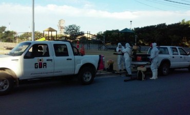 Se comenzó a fumigar en la ciudad de Ramallo