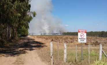 Intenso trabajo de bomberos para controlar un incendio en un campo