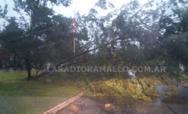 AHORA: Tormenta en Ramallo