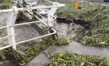 Cerraron el paseo del puerto