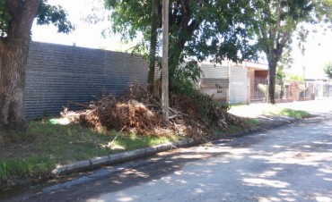 Villa Ramallo: Un reclamo reiterado calle Di Bacco