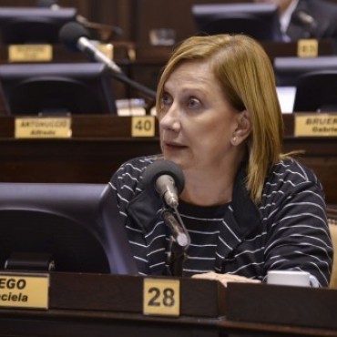 Diputada Rego 