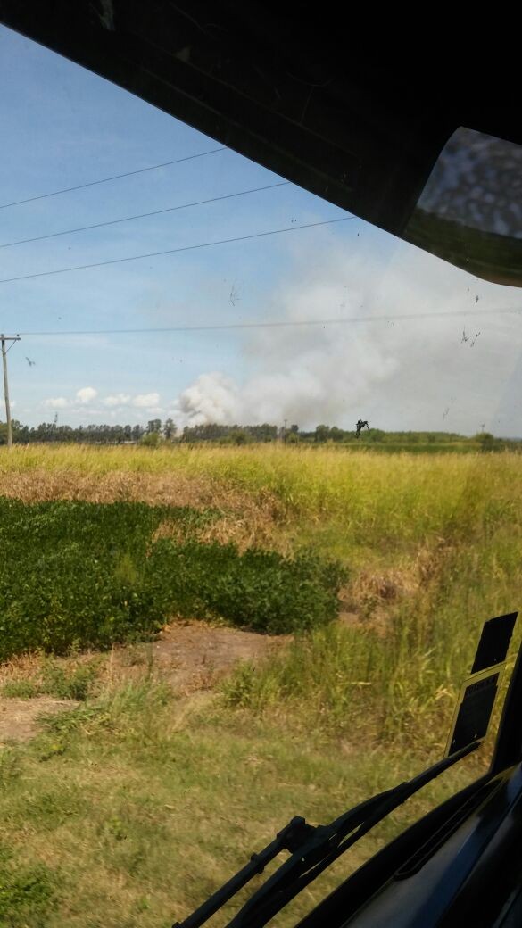 Nuevo incendio en el Girsu