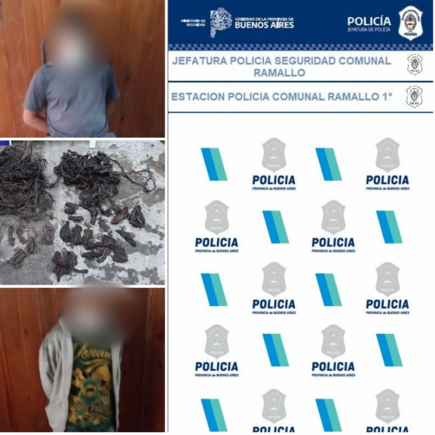 Aprehendidos imputados de sustraer cables