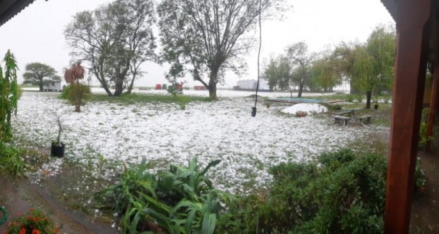 La piedra arrasó con gran parte de los cultivos