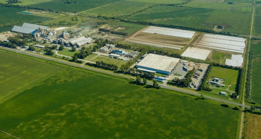 Bunge anuncia un acuerdo con Genneia para el uso de electricidad renovable en sus plantas en Argentina