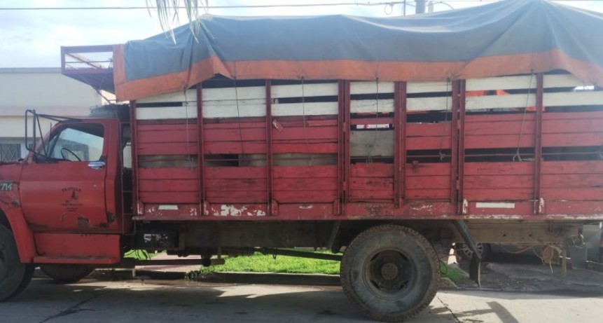 Brutal agresión en Ramallo: tres hombres golpearon a otro y terminaron detenidos