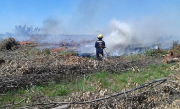 Un incendio de magnitud en un monte fue sofocado por bomberos voluntarios 