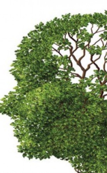 ALMA Asociación Lucha contra el Mal de Alzheimer San Nicolás informa