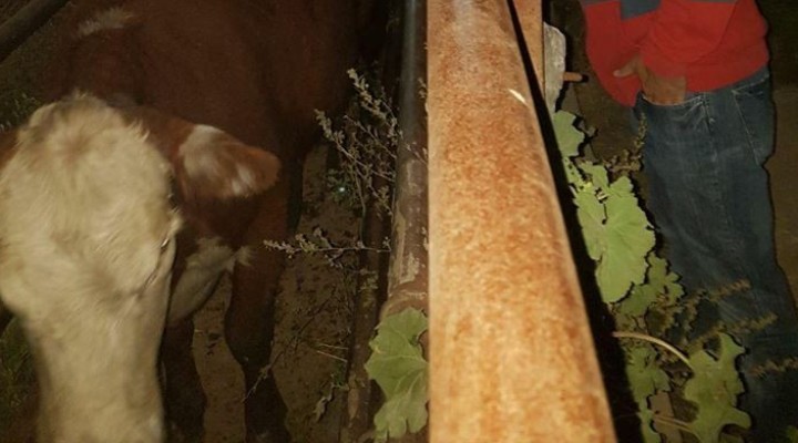 Operativo de la patrulla rural