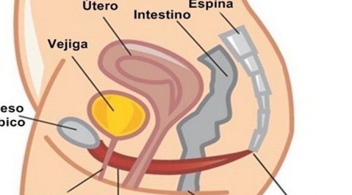Tratamientos kinesiológicos para la incontinencia urinaria en la Semana Mundial de esa enfermedad.