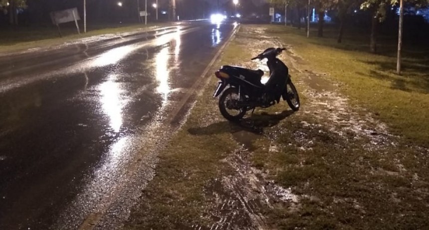 Se chocó un caballo mientras conducía una moto en el camino de la costa