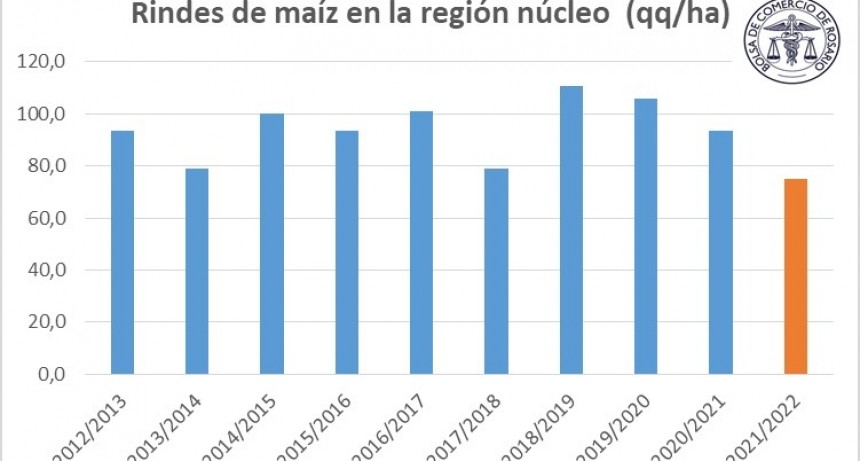 30% de cosecha maicera y rindes que siguen cayendo: se estima el rinde más bajo de los últimos 10 años