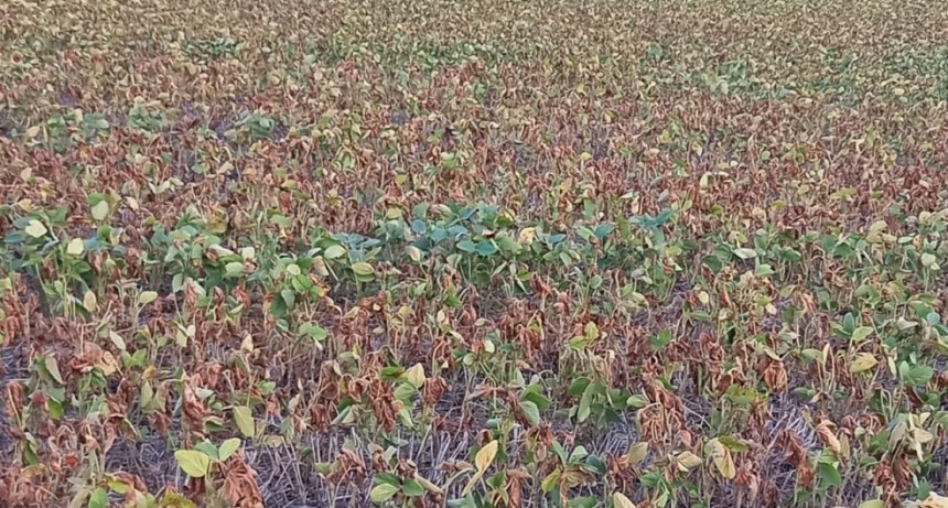 “Nuestra situación es dramática”