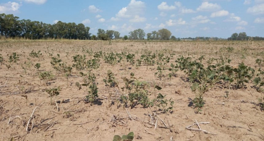 No hay registros en 100 años de una de ola de calor tan prolongada