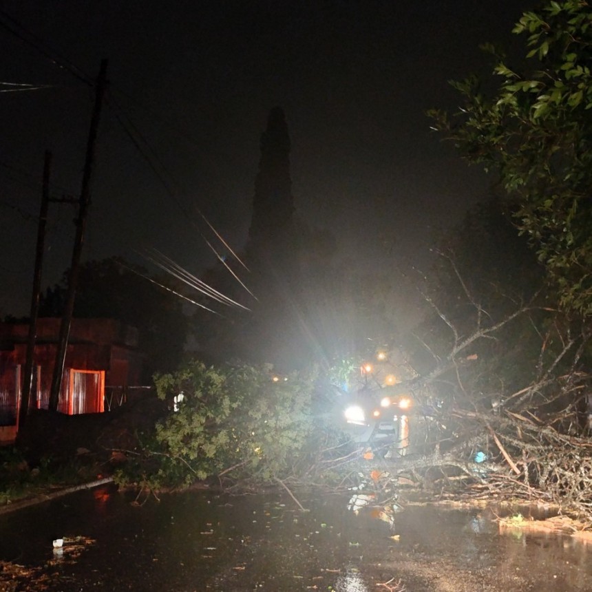 Una feroz tormenta azotó Ramallo: caída de árboles y ráfagas de más de 90 km/h
