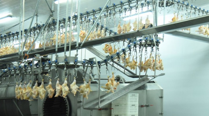 Paro en el frigorífico Mark