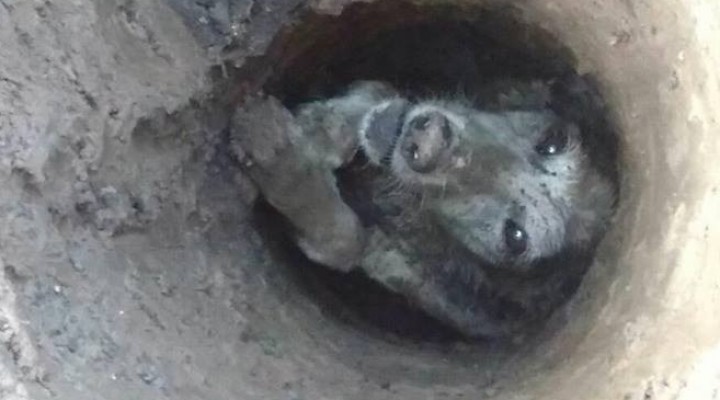 Notable rescate de bomberos