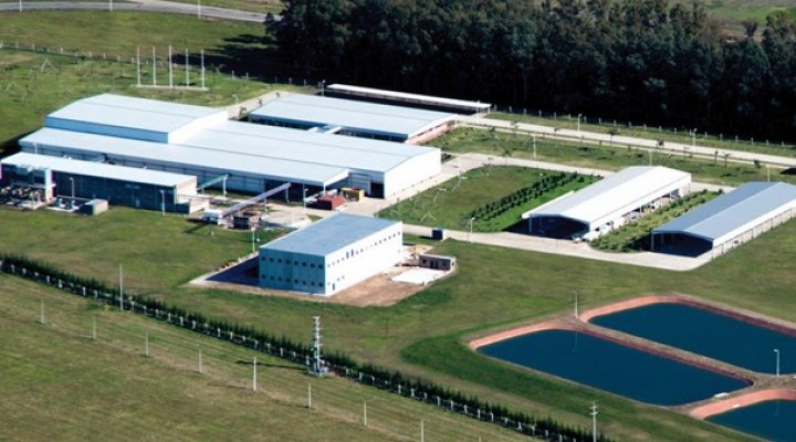 Comunicado del frigorífico Mark S.A.