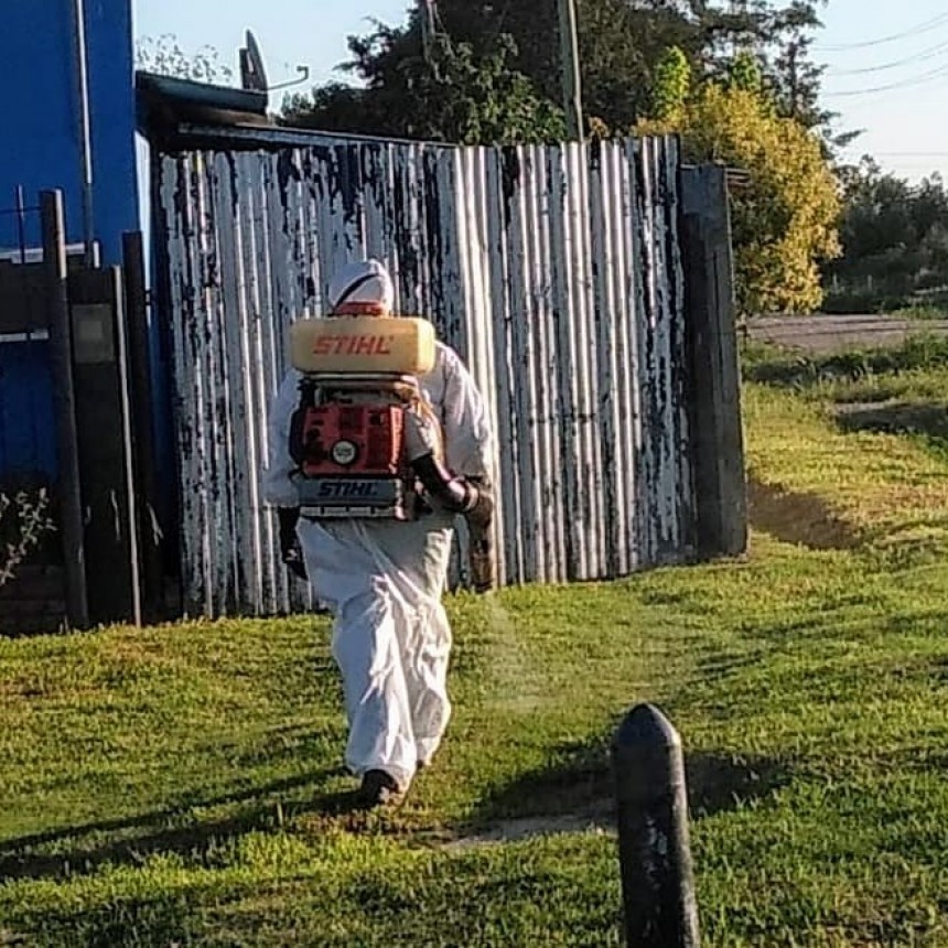 Fumigación contra el Dengue
