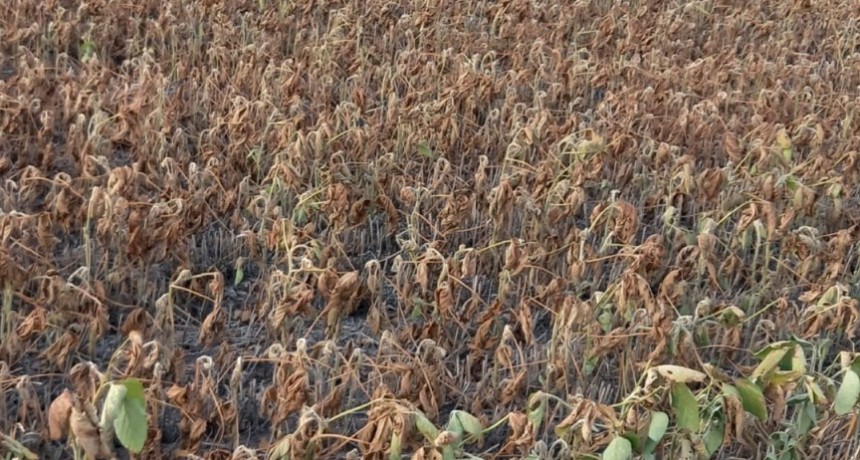 Representantes del agro y la producción advirtieron sobre el impacto de la crisis económica en un distrito bonaerense