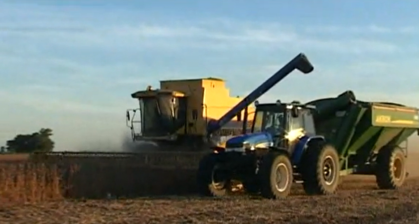Un trimestre con luz “verde” enciende las esperanzas para los cultivos de invierno en el campo