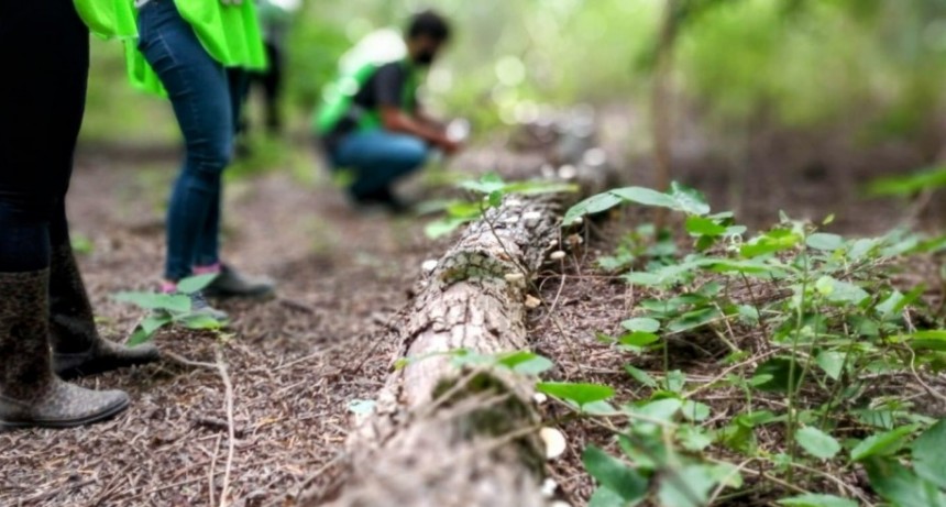 El Gobierno local decidió restringir el acceso a la reserva natural para trabajar en la conservación del lugar