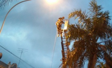 Se realizó la Expo Bomberos: una muestra abierta a toda la comunidad
