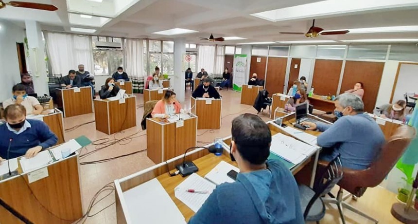 Proyectos y temas abordados en el Concejo Deliberante