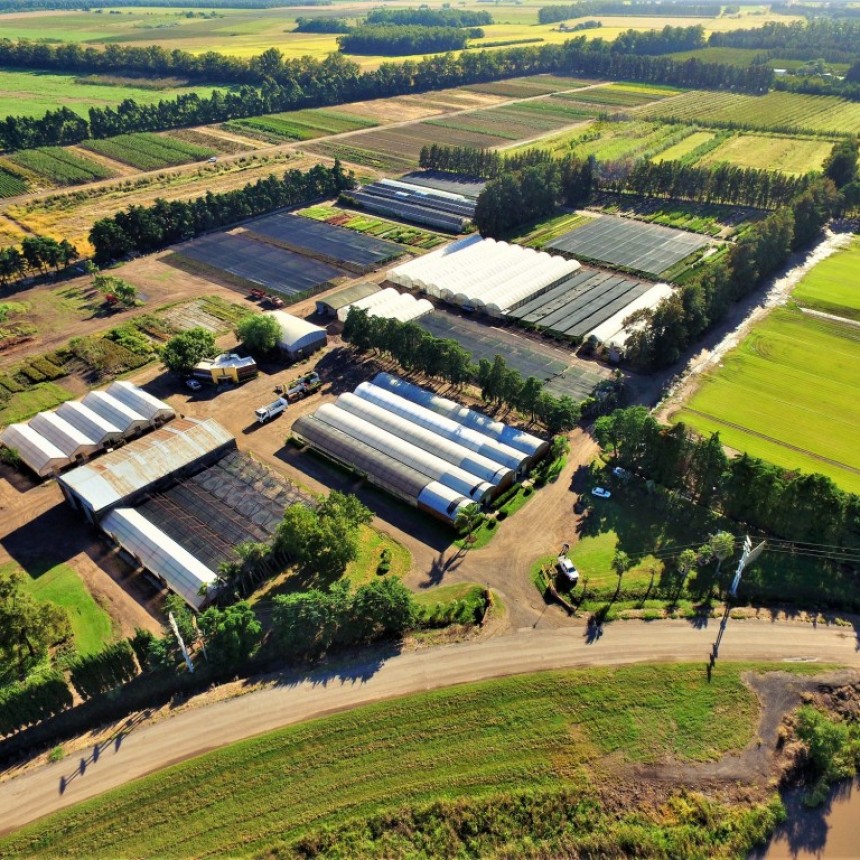 San Pedro: Desarrollaron una maquina plantinera