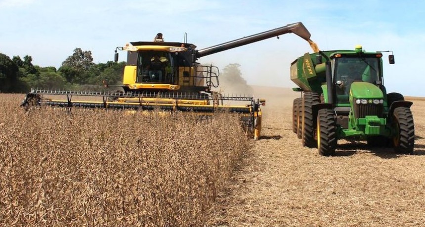 El precio de la soja creció un 90% en el último año