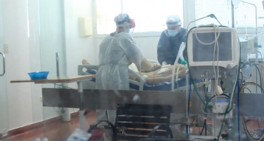 El hospital San Felipe implementa con resultados positivos suero equino en pacientes graves.