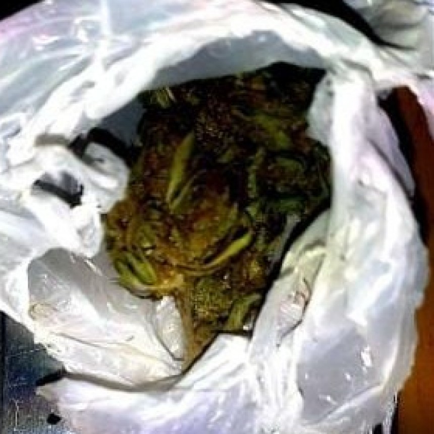 Pérez Millán: Cinco detenidos por tenencia de marihuana